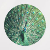 Peacock Strut Etiketten (Design 1)