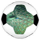 Peacock Strut Fußball (Gedreht)