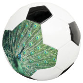 Peacock Strut Fußball (Dreiviertel)