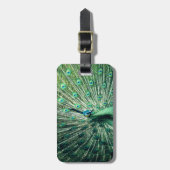 Peacock Strut Gepäckanhänger (Vorderseite vertikal)