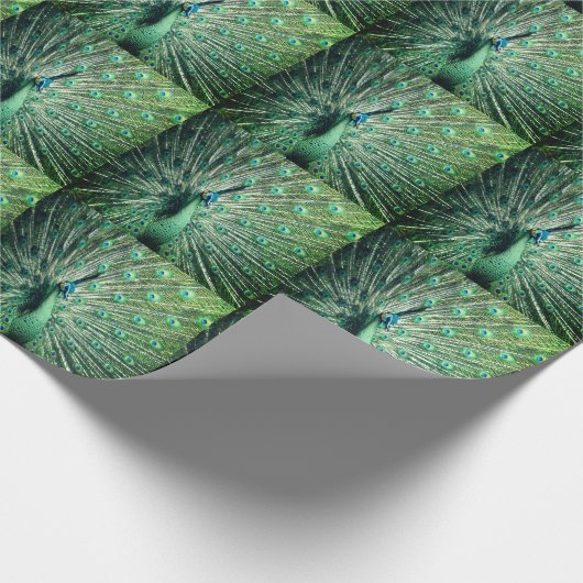 Peacock Strut Geschenkpapier (Ecke)