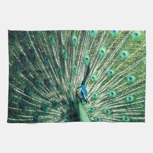 Peacock Strut Geschirrtuch (Horizontal)