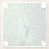 Peacock Strut Glasuntersetzer (Rückseite)