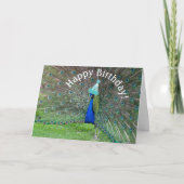 Peacock Strut ・ glücklich zum Geburtstag! Karte (Vorderseite)