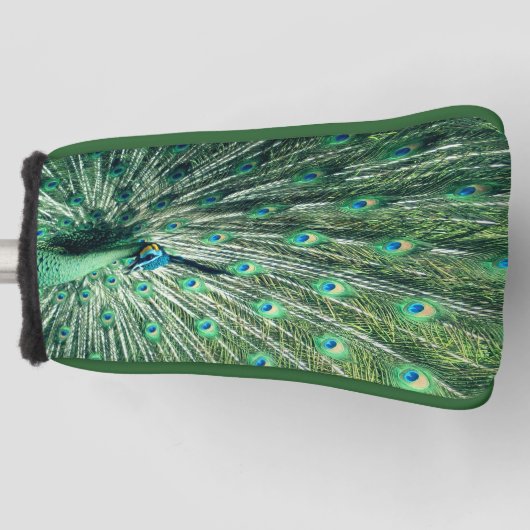 Peacock Strut Golf Headcover (Vorderseite)