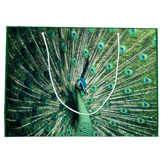 Peacock Strut Große Geschenktüte (Rückseite)