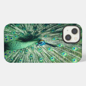 Peacock Strut iPhone Hülle (Rückseite (Horizontal))