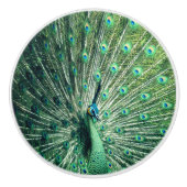 Peacock Strut Keramikknauf (Vorderseite)