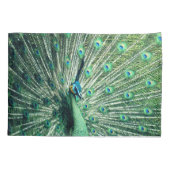 Peacock Strut Kissenbezug (Rückseite)