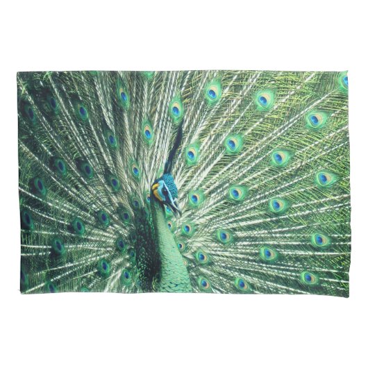 Peacock Strut Kissenbezug (Vorderseite)