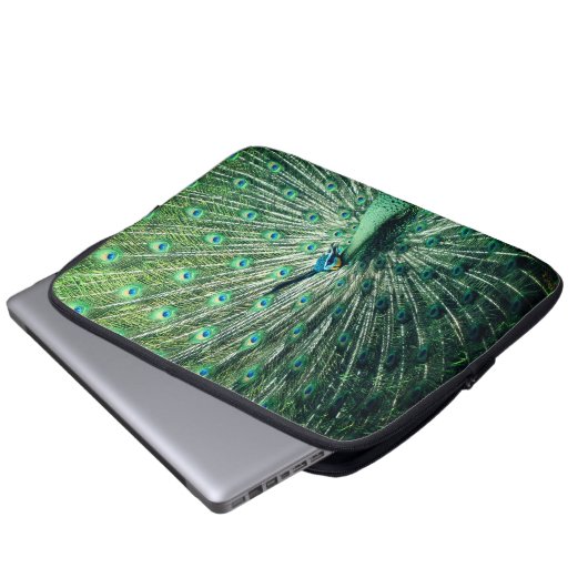 Peacock Strut Laptopschutzhülle (Vorne Knopf)