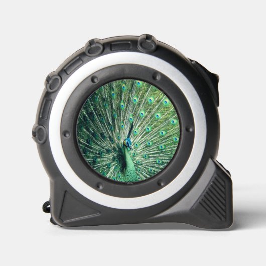 Peacock Strut Maßband (Vorderseite)