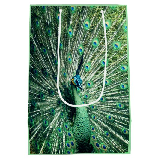Peacock Strut Mittlere Geschenktüte (Rückseite)