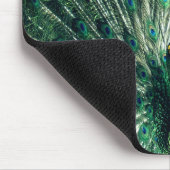 Peacock Strut Mousepad (Ecke)