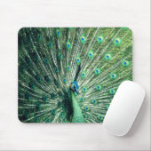 Peacock Strut Mousepad (Mit Mouse)