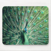 Peacock Strut Mousepad (Vorne)