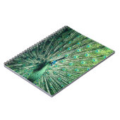 Peacock Strut Notizblock (Linke Seite)