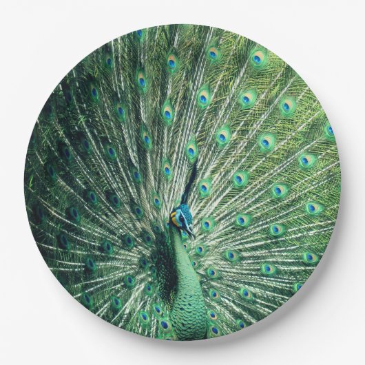 Peacock Strut Pappteller (Vorderseite)