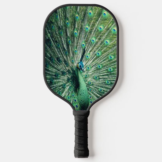 Peacock Strut Pickleball Schläger (Vorderseite)