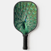 Peacock Strut Pickleball Schläger (Rückseite)