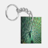 Peacock Strut Schlüsselanhänger (Vorderseite links)