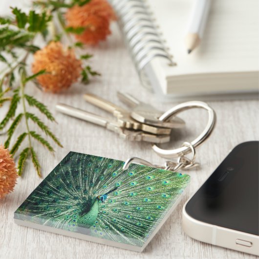 Peacock Strut Schlüsselanhänger (Vorderseite rechts)