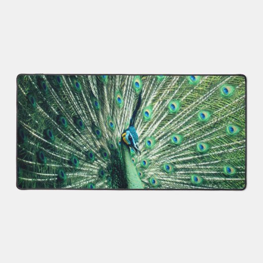 Peacock Strut Schreibtischunterlage (Vorderseite)