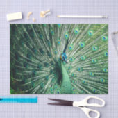 Peacock Strut Seidenpapier (Handwerk)
