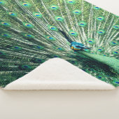 Peacock Strut Sherpadecke (3/4)