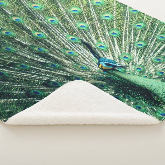 Peacock Strut Sherpadecke (3/4)