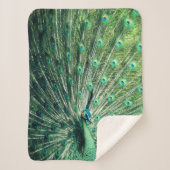 Peacock Strut Sherpadecke (Vorderseite)
