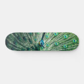 Peacock Strut Skateboard (Horizontal)