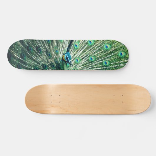 Peacock Strut Skateboard (Horizontal)