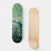 Peacock Strut Skateboard (Vorderseite)