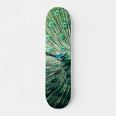 Peacock Strut Skateboard (Vorne)