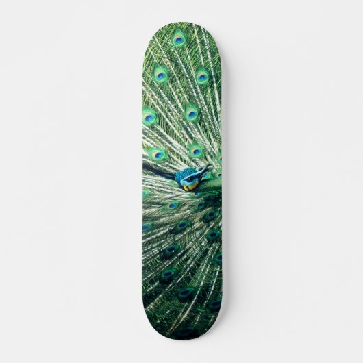 Peacock Strut Skateboard (Vorne)
