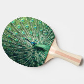 Peacock Strut Tischtennis Schläger (Seitenansicht)
