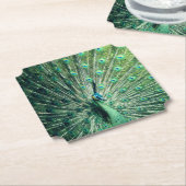 Peacock Strut Untersetzer (angewinkelt)