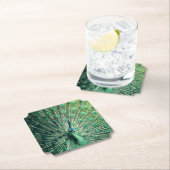 Peacock Strut Untersetzer (Vor Ort)