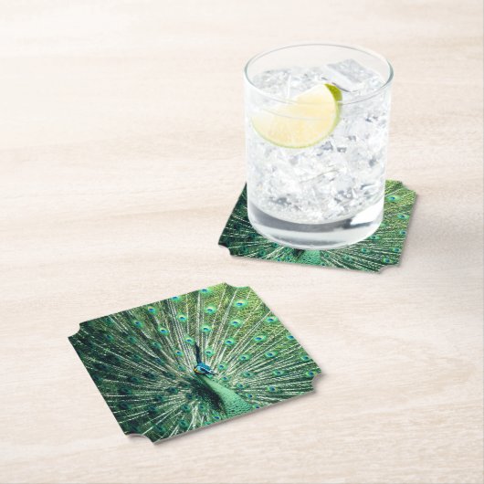 Peacock Strut Untersetzer (Vor Ort)