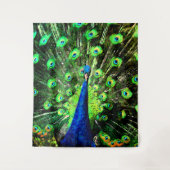 Peacock Strut Wandteppich (Vorderseite)