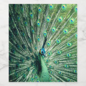 Peacock Strut Weinetikett (Einzelnes Label)