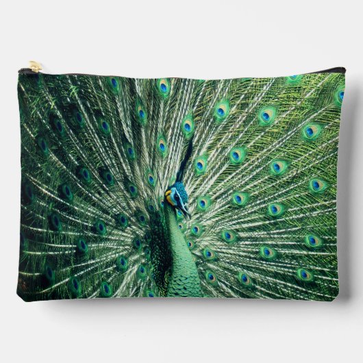 Peacock Strut Zubehörtasche (Vorderseite)