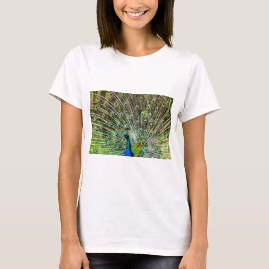 Peacock T-Shirt (Vorderseite)