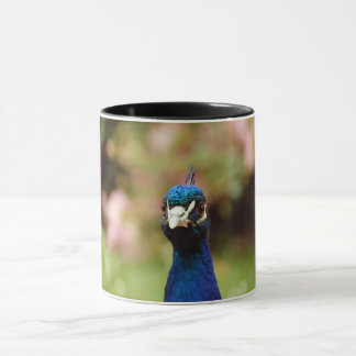 Peacock Tasse
