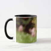 Peacock Tasse (Links)