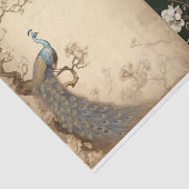 Peacock-Testseite Seidenpapier (Ausschnitt)