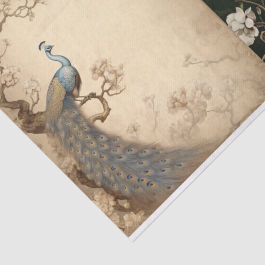 Peacock-Testseite Seidenpapier (Ausschnitt)