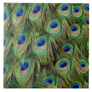 Peacock Tile Fliese