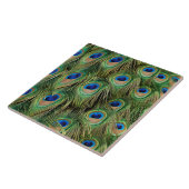 Peacock Tile Fliese (Seite)